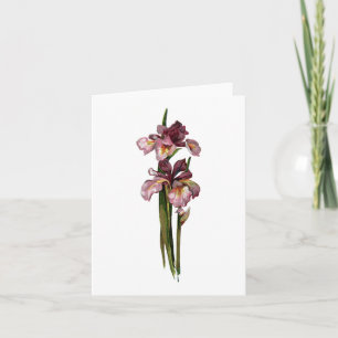 Tarjeta de nota iris púrpura