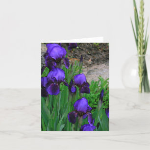 TARJETA DE NOTA, "IRISES PROFUNDOS" /FOTOG.