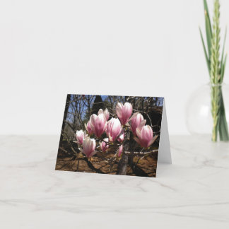 Tarjeta de nota japonesa de la magnolia