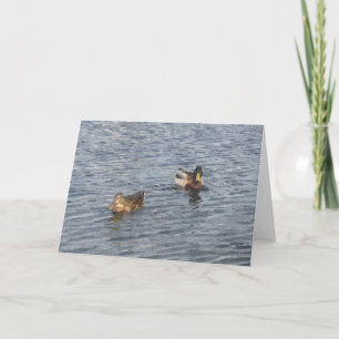 TARJETA DE NOTA: Lake Harriet, "Ducks"_ Card