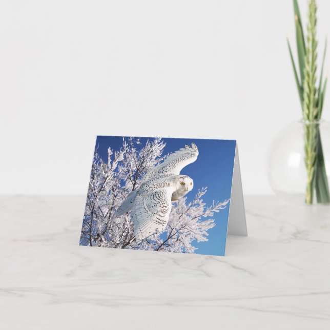 Tarjeta de nota "Lechuza nieve" (Anverso)