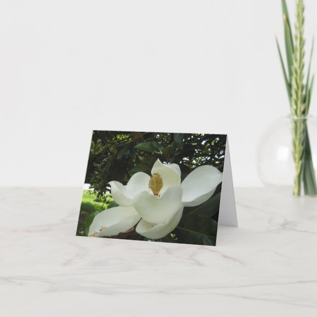 Tarjeta de nota Magnolia Blossom (Anverso)