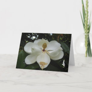 Tarjeta de nota Magnolia Blossom