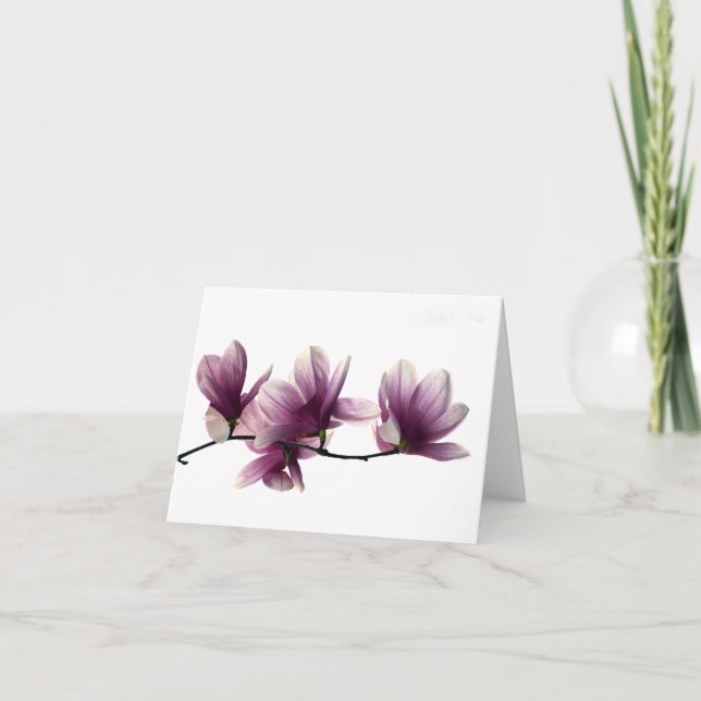 Tarjeta de nota Magnolia Blossoms (Anverso)