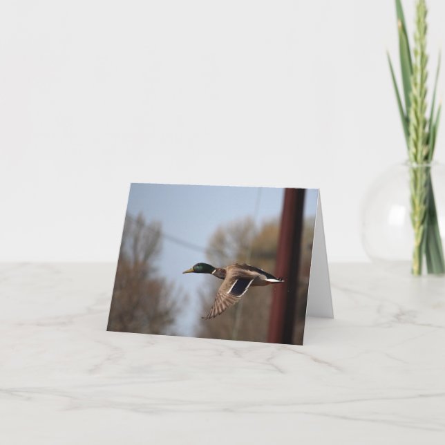 Tarjeta de nota Mallard (Anverso)