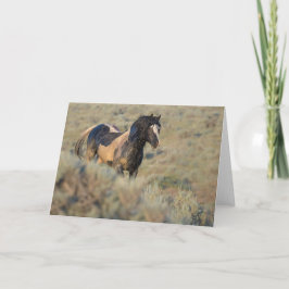 Tarjeta de nota más fuerte que el resto"