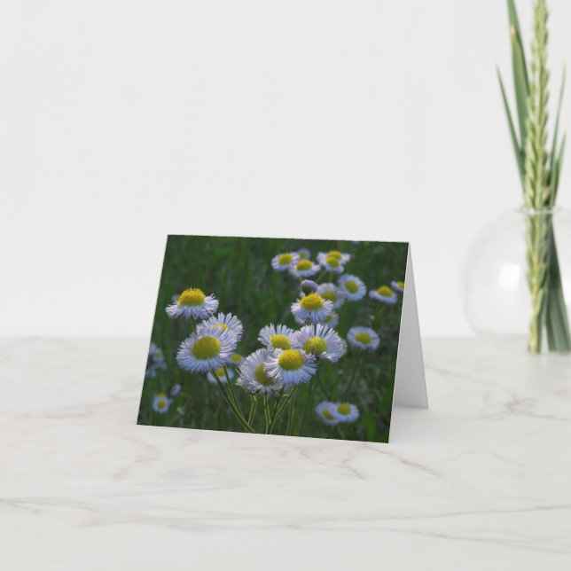 Tarjeta de nota Meadow Wildflowers (Anverso)