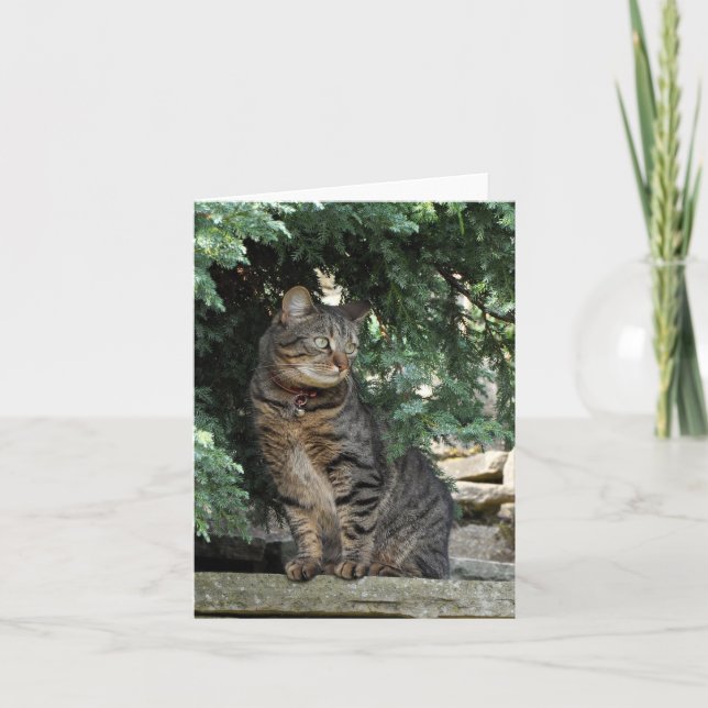 Tarjeta de nota: Minnie (Anverso)