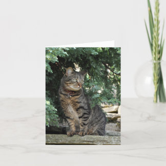 Tarjeta de nota: Minnie