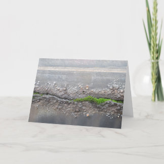 Tarjeta de nota "Moss"