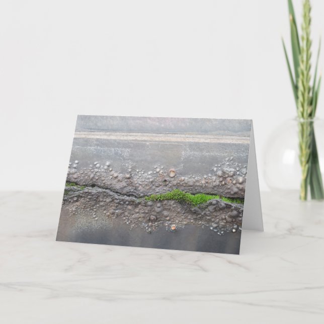 Tarjeta de nota "Moss" (Anverso)