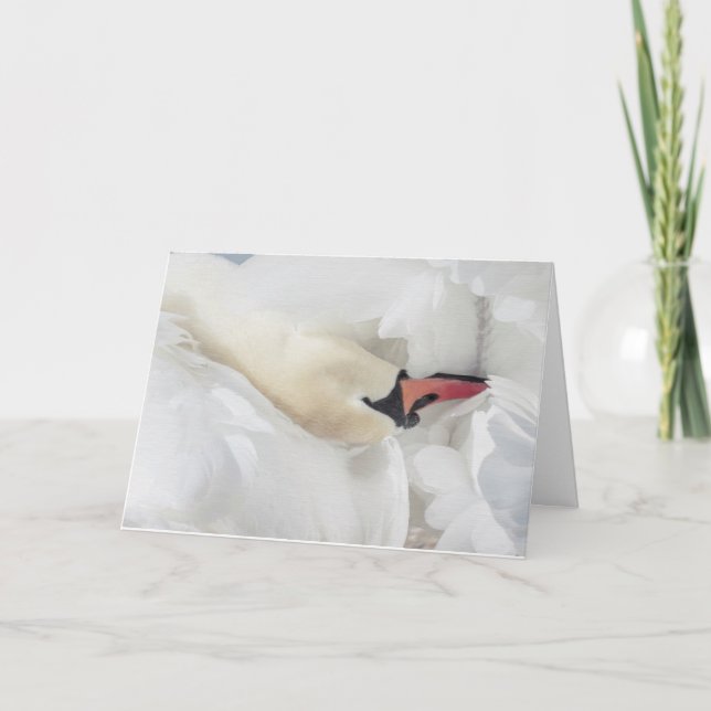 Tarjeta de nota Mute Swan Blank (Anverso)