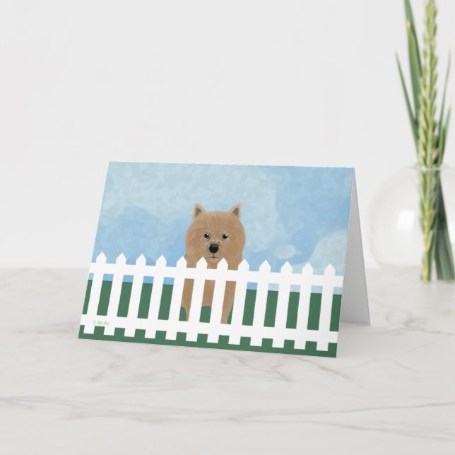 Tarjeta de nota Norwich Terrier (Anverso)