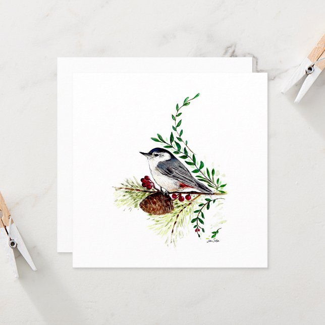 Tarjeta de nota Nuthatch Beauty Watercolor (Beautiful Nuthatch Watercolor Blank Note Cards from Jenn Steffen Art)