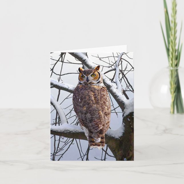 Tarjeta de nota "Owl In Winter" (Anverso)