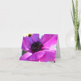 Tarjeta de nota para anémona púrpura Springtime