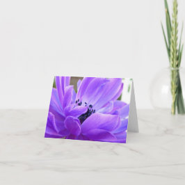Tarjeta de nota para anémona violeta de Springtime