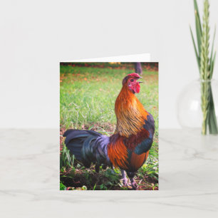 Tarjeta de nota para animales de granja Roowing 2