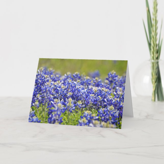 Tarjeta de Nota para Bluebonnets de Texas (Anverso)