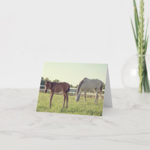Tarjeta de nota para caballos de carreras Mare & F