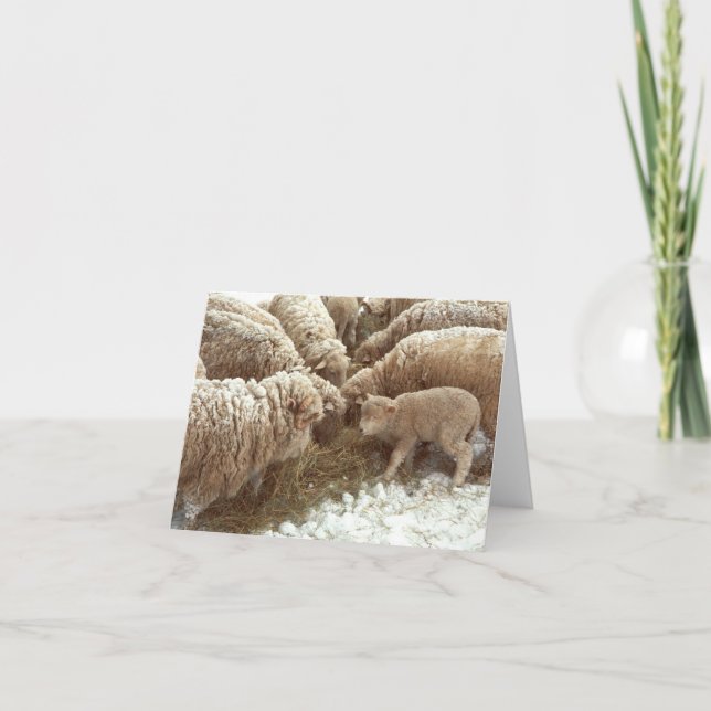 Tarjeta de nota para cordero (Anverso)