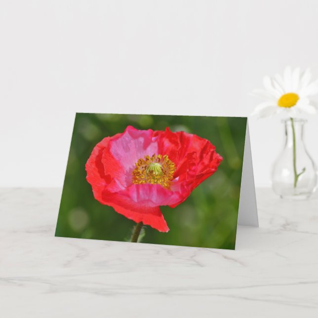 Tarjeta de nota para el arte de la flor de amapola (Planta pequeña)
