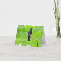 Tarjeta de nota para el colibrí caribe con tracció