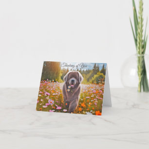 Tarjeta de nota para el pensamiento gris del perro