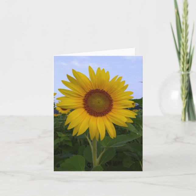 Tarjeta de nota para el sol de Hola (Anverso)