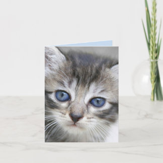 Tarjeta de nota para gatitos