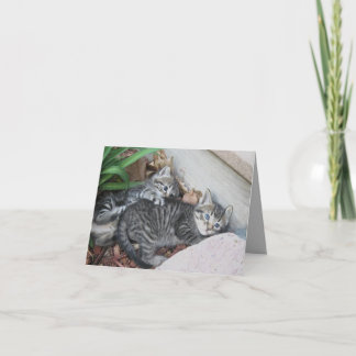 Tarjeta de nota para gatitos