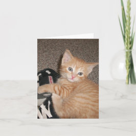 Tarjeta de nota para gatitos brillantes