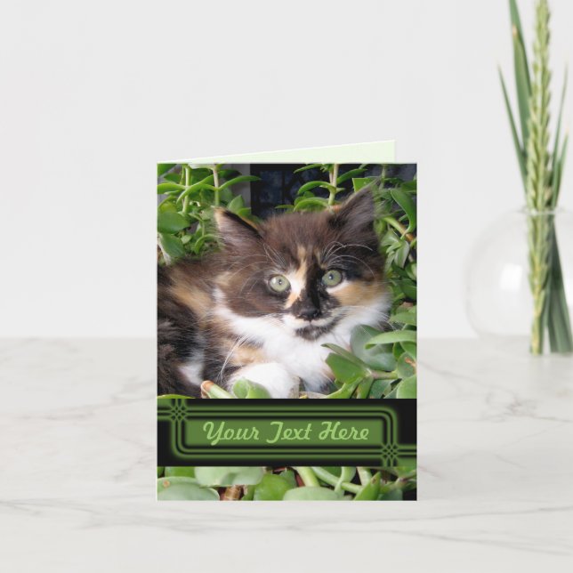 Tarjeta de nota para gato con ojos verdes (Anverso)