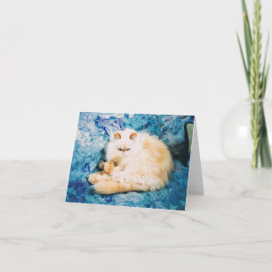 Tarjeta de nota para gato persa