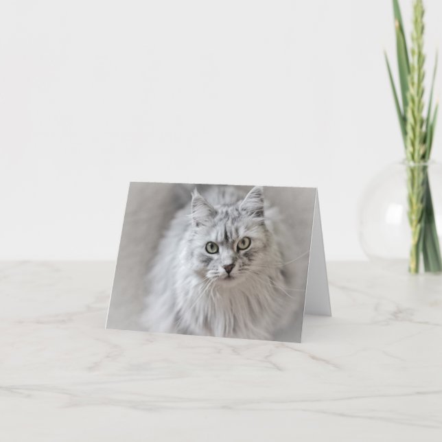 Tarjeta de nota para gato siberiano (Anverso)