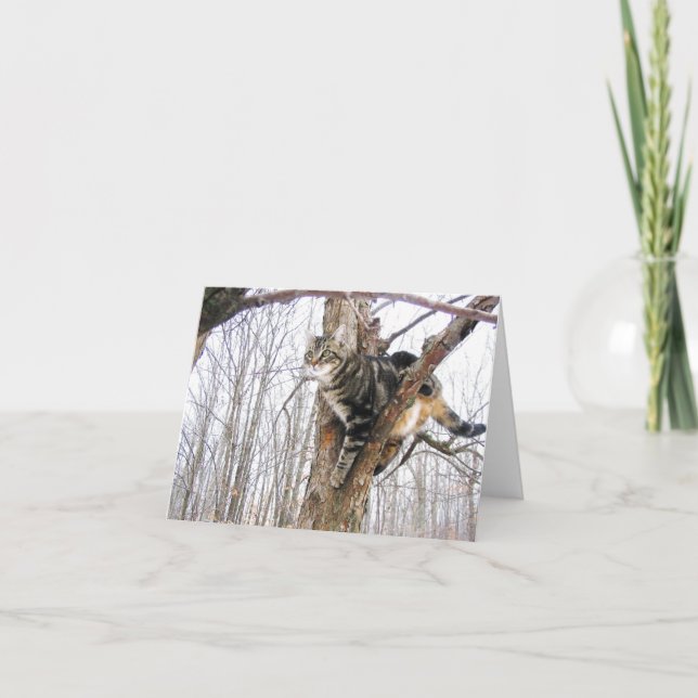 Tarjeta de nota para gatos de tabla (Anverso)