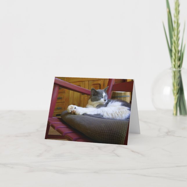Tarjeta de nota para gatos somnolienta (Anverso)