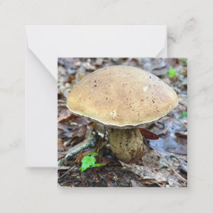 Tarjeta de nota para hongos