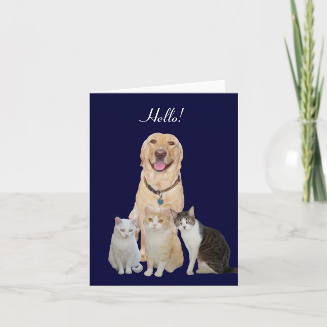 Tarjeta de nota para Mascotas bonitos (Anverso)