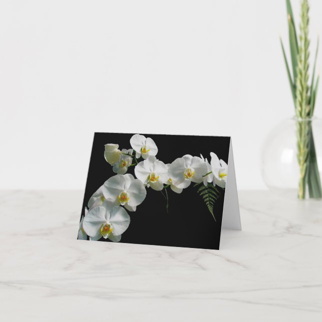 Tarjeta de nota para Orquídea Blanca (Anverso)