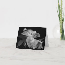 Tarjeta de nota para Orquídea Negra y Blanca