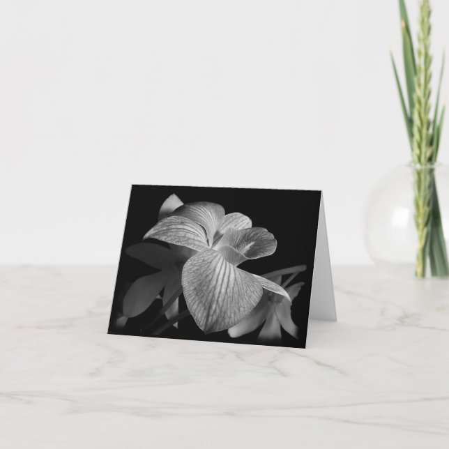 Tarjeta de nota para Orquídea Negra y Blanca (Anverso)