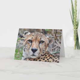 Tarjeta de nota para retrato de arte de gato Cheet