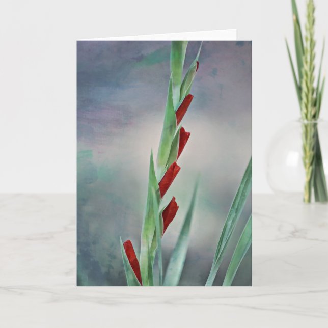 Tarjeta de nota para retrato de flor de Gladiolus  (Anverso)