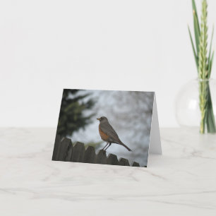 Tarjeta de nota para Robin de primavera