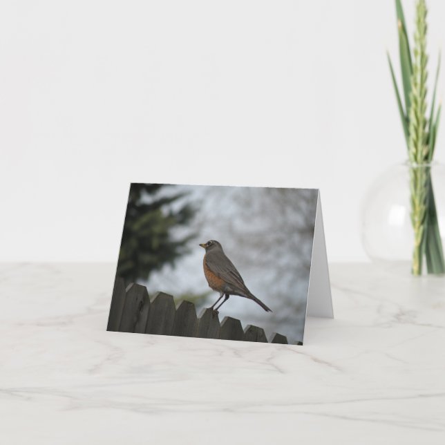 Tarjeta de nota para Robin de primavera (Anverso)