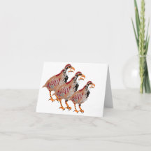 Tarjeta de nota : Partridge