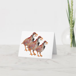 Tarjeta de nota : Partridge