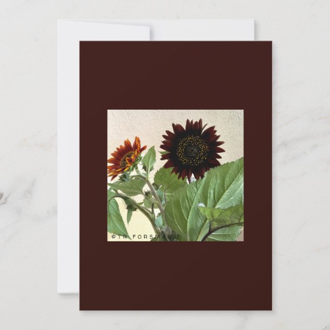 Tarjeta de nota pequeña para girasoles escrita a m (Anverso)