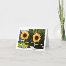 Tarjeta de nota personalizada de girasoles amarill